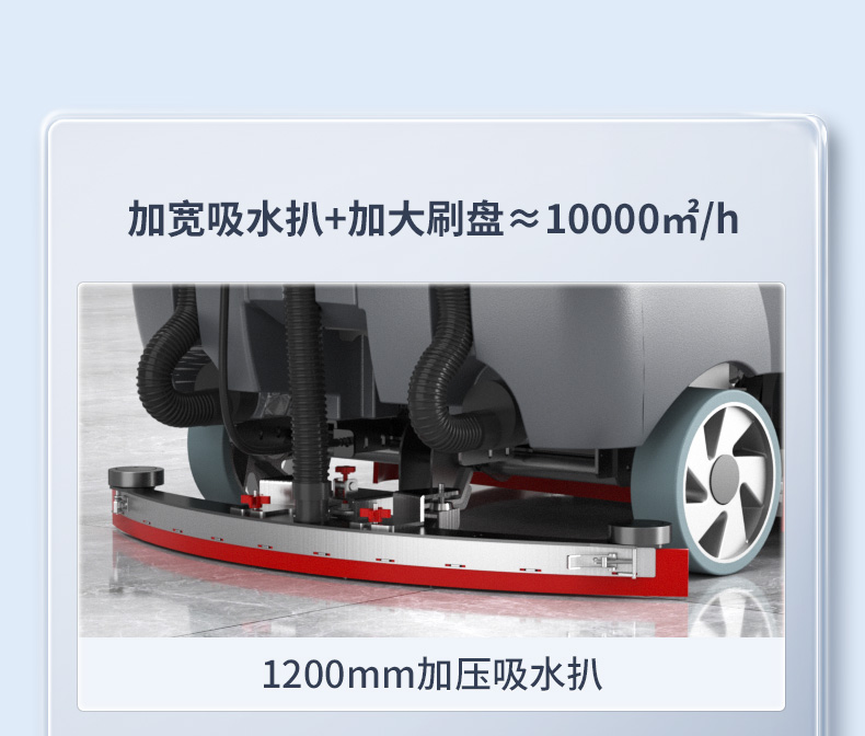 画板 11-1.jpg